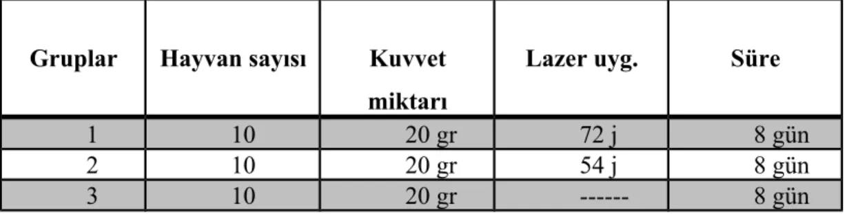 Tablo 1: Çalışma Grupları.