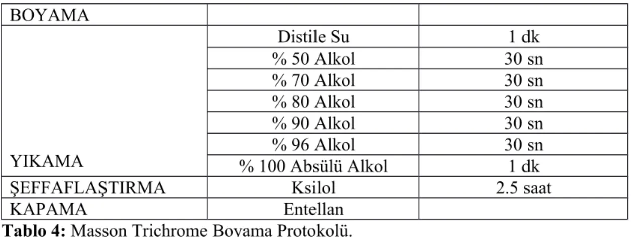 Tablo 4: Masson Trichrome Boyama Protokolü.
