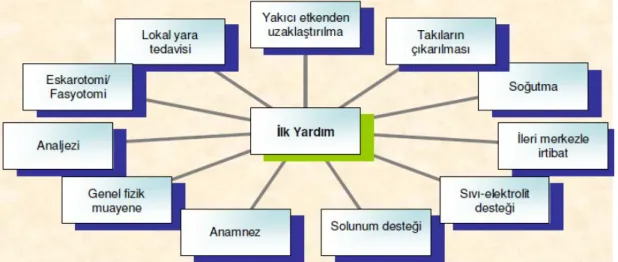 Şekil 1. Yanıklı olgularda ilk yardım tedavisi