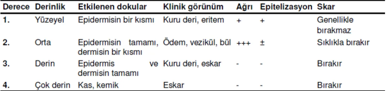 Tablo 1. Yanıkların derinliğine göre sınıflandırılması ve özellikleri