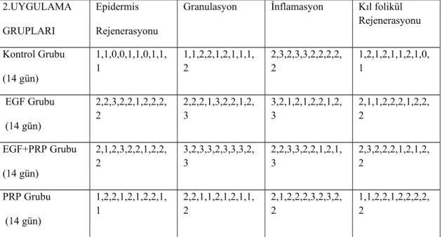 Tablo 4: 2.uygulama grupları histopatolojik skorları