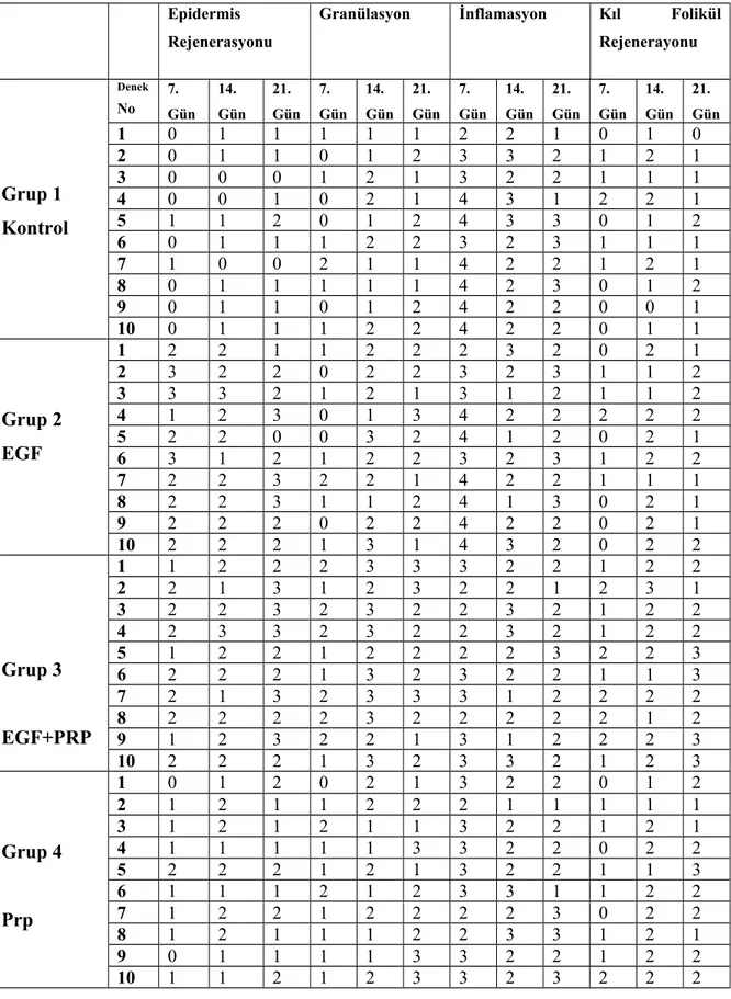 Tablo 6:  Grupların Günlere Göre Histopatolojik Skorlarının Dağılımı, Diyarbakır,