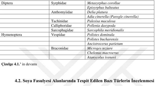 Çizelge 4.1.’ in devamı  