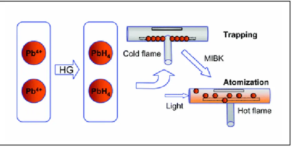 Figure 1.10.  Schematic  presentation  of  slotted  quartz  tube-atom  trap-hydride  generation  atomic             absorption spectrometric determination of lead (Ertaş et al