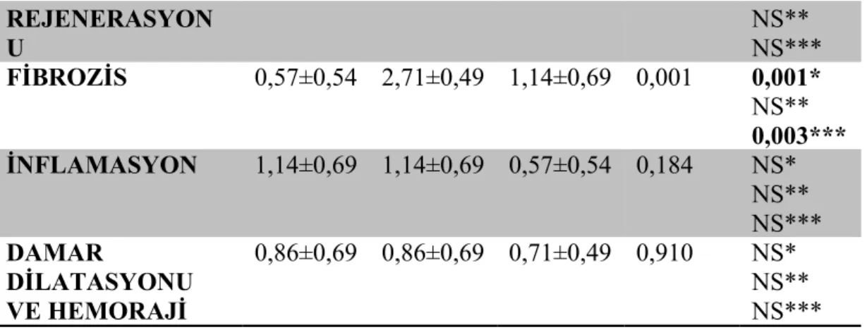 Tablo 11. Diabetsiz ratların 14. günde histopatolojik değerlerinin karşılaştırılması