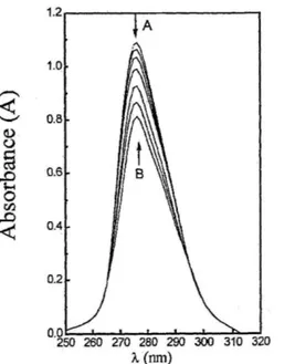 Şekil 17.  212’nin 25±0.1  o C’de farklı derişimlerdeki L-Leu-OMe ile UV spektrumu. 