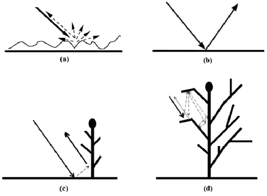 Şekil  3.14’de,  bitki  örtüsünün  etkili  olduğu  tarımsal  alanlarda  meydana  gelebilecek  olası saçılma mekanizmaları gösterilmektedir