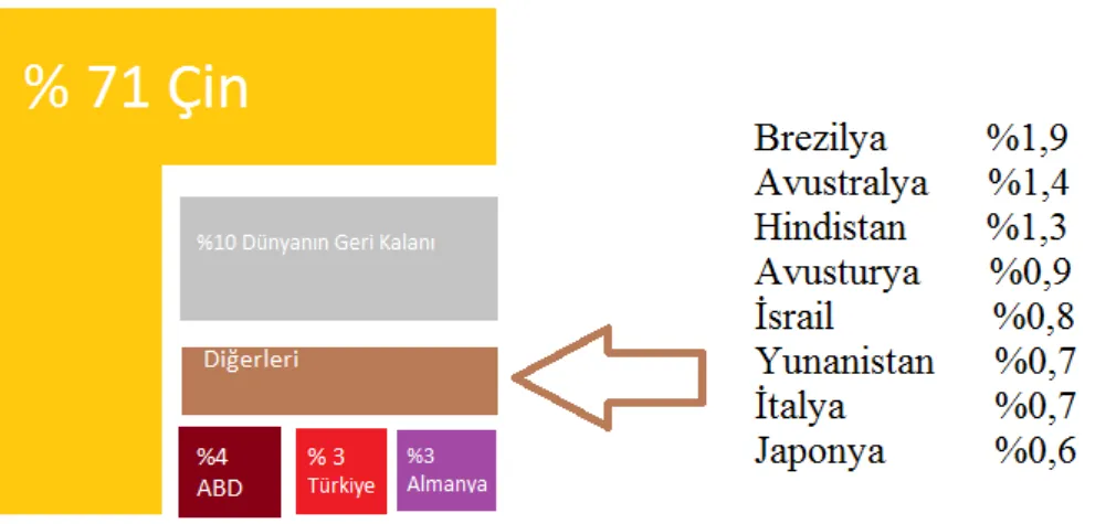 Şekil 1.8. Güneş Enerjisi Isıtıcı Kollektörleri Küresel Kapasite, İlk 12 Ülkenin Payları ve Dünyadaki  Diğer Bölgeler, 2014 