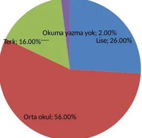 Grafik 3: Hastaların Eğitim Seviyelerine Göre Sınıflandırılması