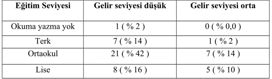 Tablo 19: Hastaların Gelir Seviyesine Göre Eğitim Düzeylerinin Değerlendirilmesi Eğitim Seviyesi Gelir seviyesi düşük Gelir seviyesi orta