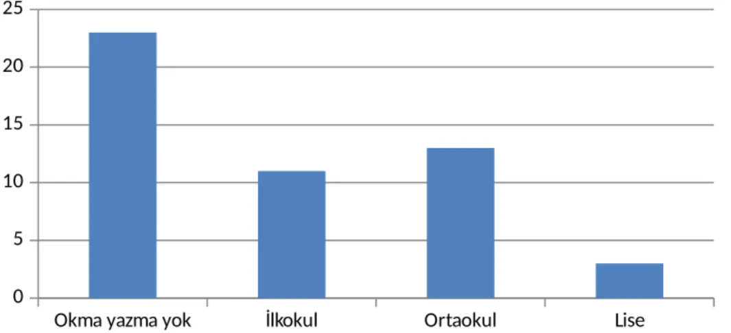 Grafik 10: Annelerin Eğitim Seviyelerinin Değerlendirilmesi