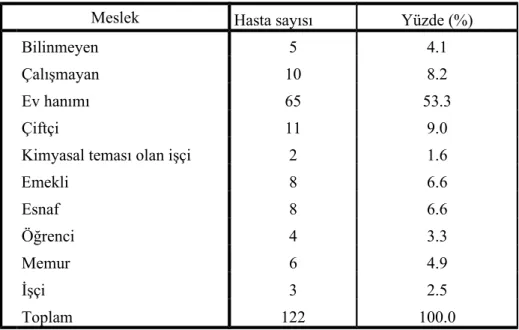 Tablo 5.  Pemfiguslu hastaların mesleki durumları