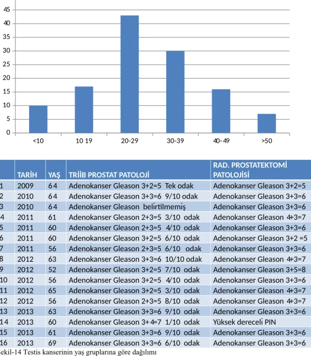 Tablo 9 2009-2013 arasında tanı alan prostat kanserli hastalarda Triib prostat patolojileri ile radikal  prostatektomi patolojilerinin karşılaştırılması