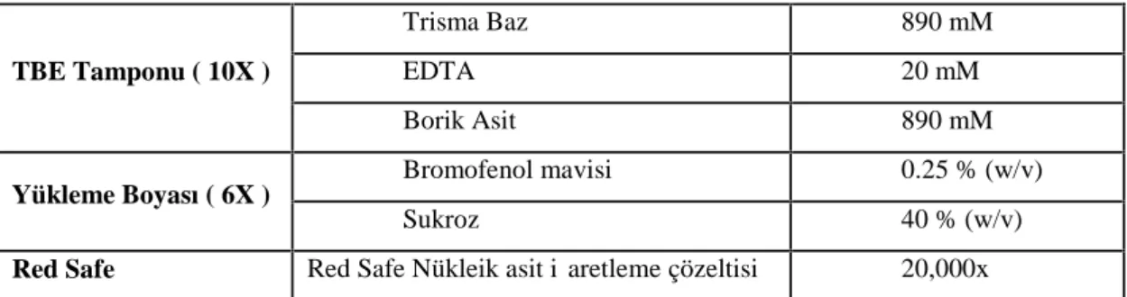 Çizelge 3.8. Agaroz jel elektroforezinde kullanılan çözeltiler