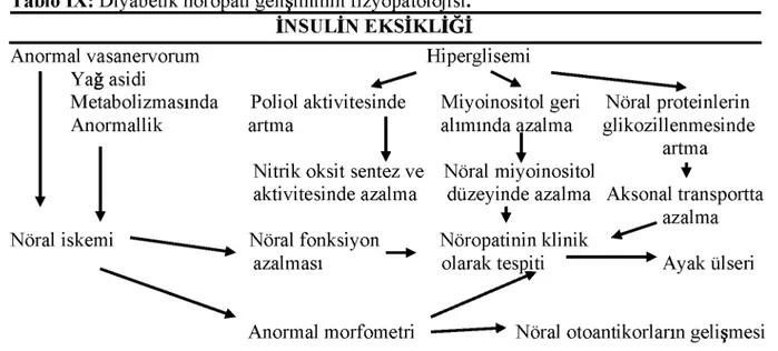 Tablo IX: Diyabetik nöropati geligiminin fizyopatolojisi.  INSULIN EKSlKLIGi  Anormal vasanervorum  Yag asidi  Metabolizmasinda  Anormallik  Nöral iskemi  Hiperglisemi 