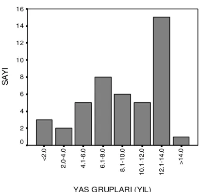 Grafik 2: Ketoasidoz (+) hasta grubunda yaş dağılımı 