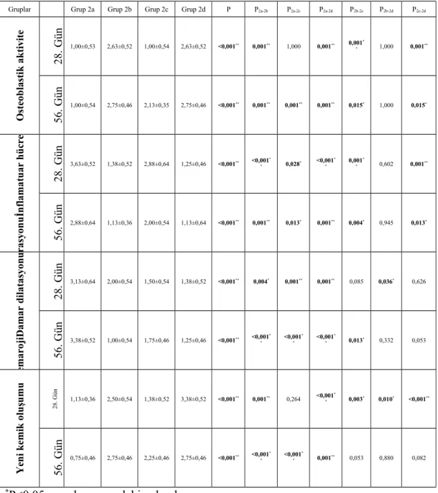 Tablo 3: Diyabetli Ratların 28. ve 56. Günde Histopatolojik Değerlerlerin Karşılaştırılması