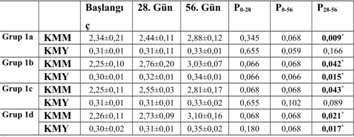 Tablo 7: Diyabetik Olmayan Ratların Grup İçi KMM ve KMY Değerlerinin Karşılaştırması Başlangı ç 28