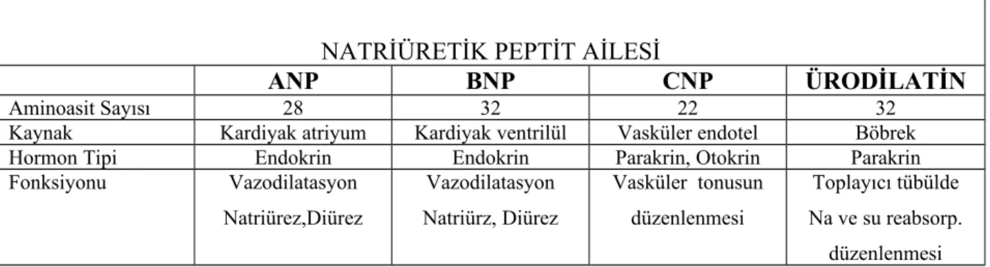 Tablo 8: Natriüretik Peptit Ailesi