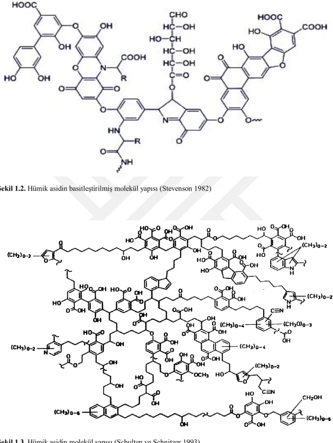 Şekil 1.3. Hümik asidin molekül yapısı (Schulten ve Schnitzer 1993) 
