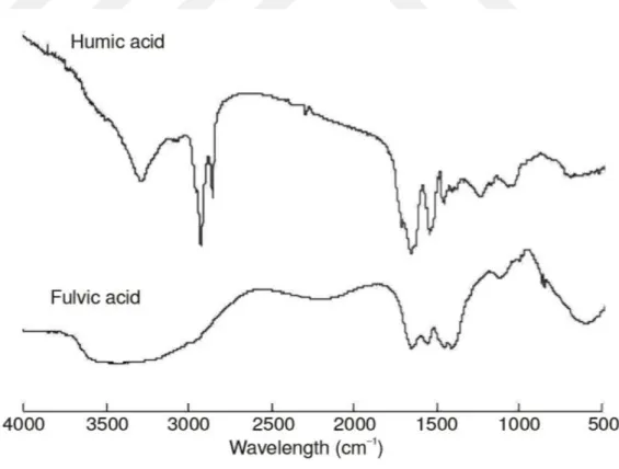 Şekil 2.1. Atık su arıtma çamurundan ultrafiltrasyon fraksiyonlandırma yöntemi ile elde edilen                    hümik ve fulvik asidin FT-IR spektrumu (Li ve ark