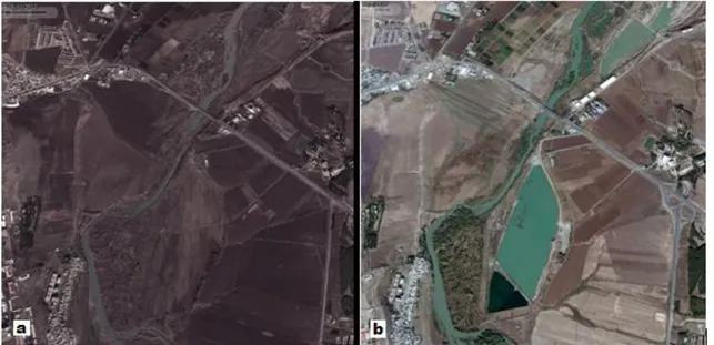 Şekil 1.3.a. Diyarbakır ili Dicle Nehri havzasındaki tahribat uydu görüntüsü 11/06/2012 
