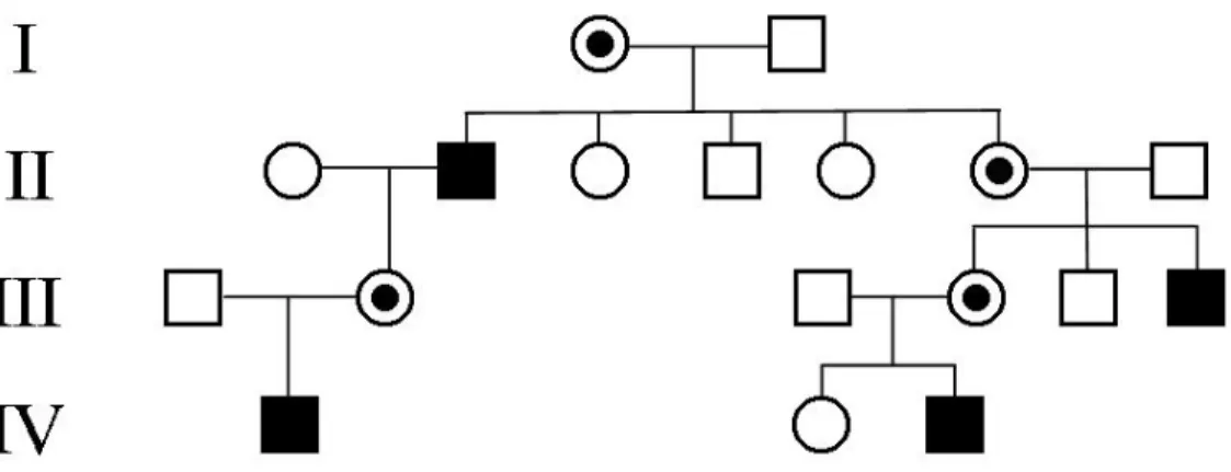 Şekil 1.6. X kromozomuna bağlı resesif kalıtım gösteren aile ağacı(Apak ve Semerci 2005) 