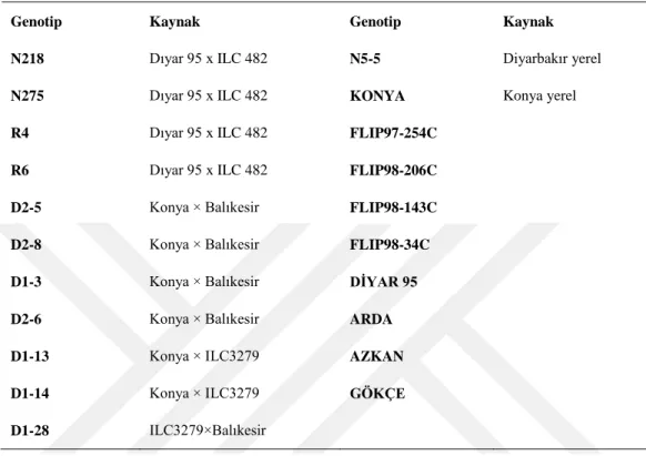 Çizelge 4.1. Nohut genotiplerinin kaynakları 