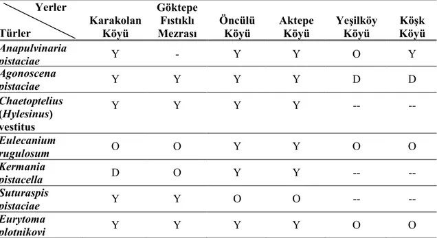 Çizelge 4.2. Diyarbakır ilinde antepfıstığı alanlarında önemli olarak belirlenen zararlı böcek       