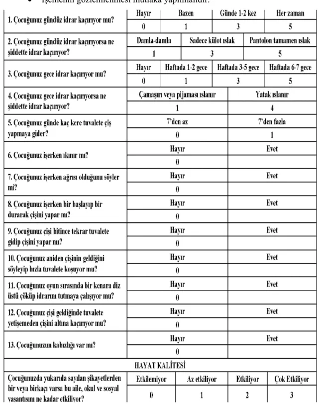 Şekil 3. İşeme Bozuklukları Semptom Skoru (52)