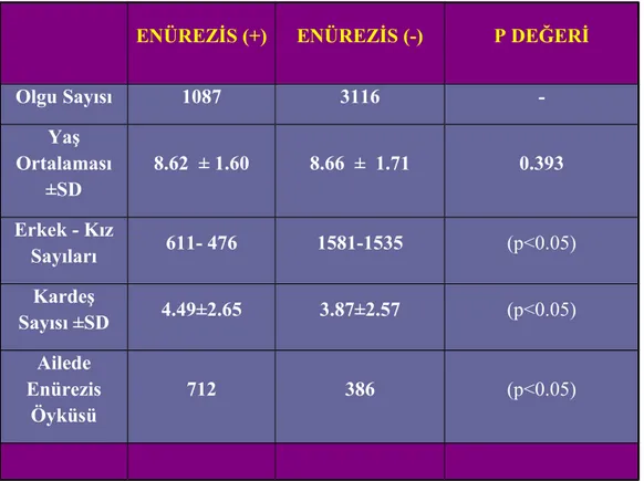 Tablo 63 .: Çalışmada  yY er  aA lan  Bb ireylerin  dD emografik  öÖ zellikleri.