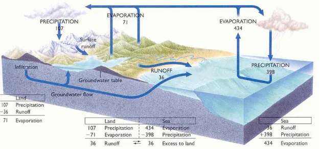 Şekil 2.1. Hidrolojik döngü (precipitation: yağıĢ, evaporation: buharlaĢma, surface runoff: yüzeysel akıĢ,  