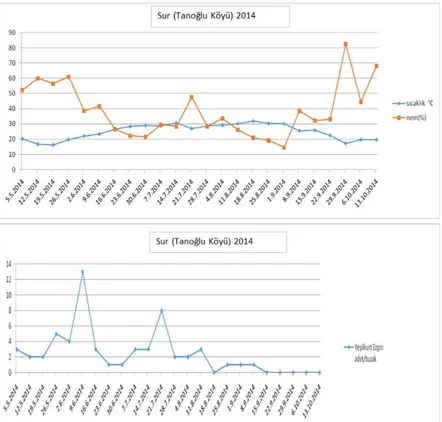 Şekil 4.1. Helicoverpa armigera’nın Sur (Tanoğlu) ilçesindeki 2014 yılı  haftalık  sıcaklık-nem  değeri  ve  eşeysel  çekici  feromon  tuzaklarındaki popülasyon gelişimi 