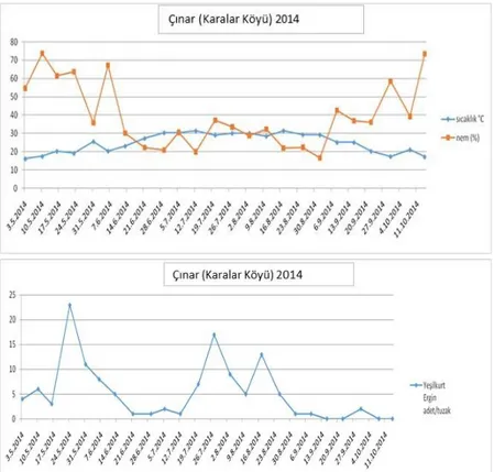 Şekil  4.3.  Helicoverpa  armigera’nın  Çınar  (Karalar)  2014  yılı  haftalık  sıcaklık-nem  değerleri  ve  eşeysel  çekici  feromon  tuzaklarındaki popülasyon gelişimi 
