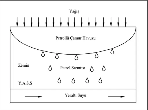 ġekil 1.1. Petrol Sondaj Atıklarının Zeminde ve Yeraltında Meydana Getirdiği Kirlilikler (Tuncan 1996) 