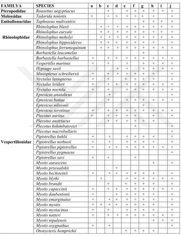 Çizelge 1.  Türkiye'de bulunan yarasa tür kayıtları  (a- Çağlar 1969, b- Felten ve ark.1977, c- c-Kumerloeve 1978, d- Helversen 1989, e- Benda ve Horáček 1998, f- Albayrak ve  Aşan 1999, g- Horáček ve ark