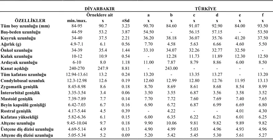 Çizelge 4.3.    Diyarbakır  Pipistrellus  kuhlii  örneklerinin  Türkiye'de  yapılan  çalışmalarda  verilen  ölçülerle  karşılaştırılması;  a-  Albayrak  1993,  b-  Karataş 2000, c- Arslan 2004b, d- Arslan  ve Albayrak 2005, e- Kahraman 2007, f- Yorulmaz 20