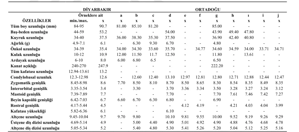 Çizelge 4.4.      Diyarbakır Pipistrellus kuhlii örneklerinin Ortadoğu ülkelerinde yapılan çalışmalarda verilen ölçülerin karşılaştırılması; a- Atallah 1977  (Doğu Akdeniz Bölgesi), b- Kowalski ve Rzebik-Kowalska 1991 (Cezayir), c- Harrison ve Bates 1991(A