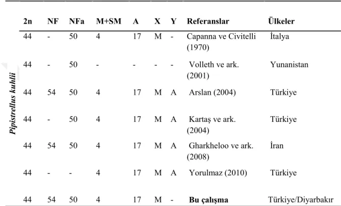 Çizelge 4.5.  Diyarbakır  Pipistrellus  kuhlii    karyotipinin  yapılmış  önceki  araştırmalarla  karşılaştırılması;  2n;  diploid  kromozom  sayısı,  NF;  kromozom  kol  sayısı,  NFa;  otozomal  kromozom  kol  sayısı,  A;  akrosentrik,  M+SM;  metasentrik