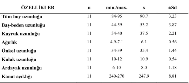 Çizelge 4.1.    Pipistrellus kuhlii örneklerinin ağırlık (g) ve dış vücut ölçüleri (mm); örnek sayısı  (n), varyasyon alt ve üst sınırı (min./max.), ortalama (x), standart sapma (±Sd)  değerleri