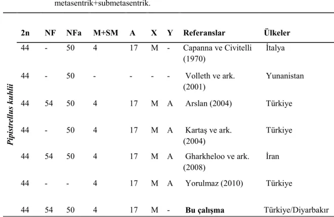 Çizelge 4.5.  Diyarbakır  Pipistrellus  kuhlii    karyotipinin  yapılmış  önceki  araştırmalarla  karşılaştırılması;  2n;  diploid  kromozom  sayısı,  NF;  kromozom  kol  sayısı,  NFa;  otozomal  kromozom  kol  sayısı,  A;  akrosentrik,  M+SM;  metasentrik