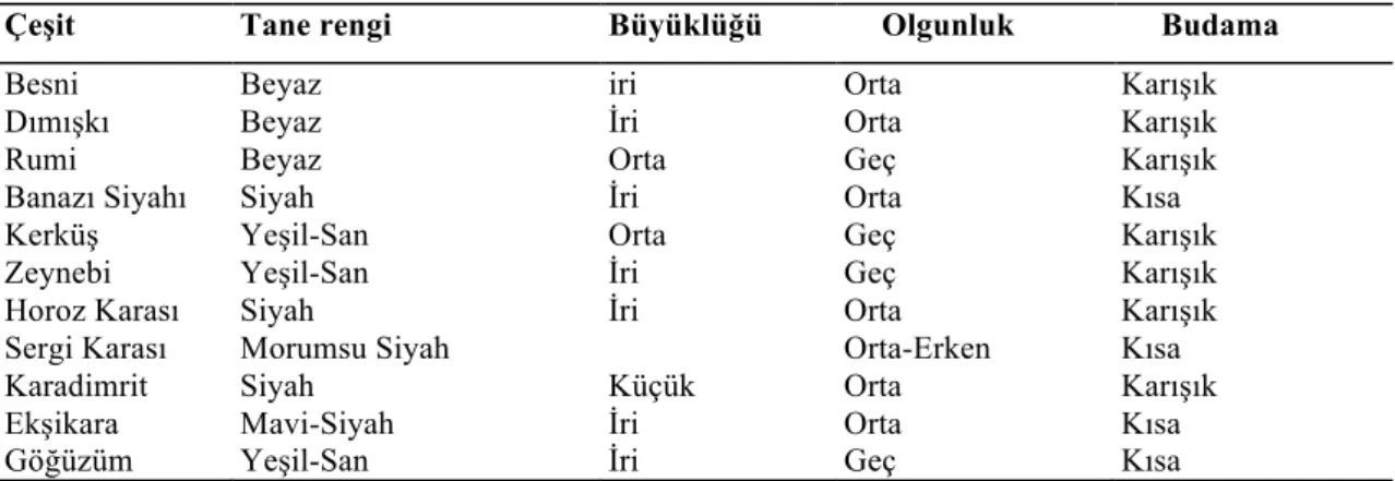 Çizelge 2.1. Ülkemizin önemli çekirdekli kurutmalık üzüm çeşitlerine ait bazı özellikleri (Çelik, 2006) 