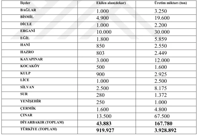 Çizelge 1.6. Türkiye ve Diyarbakır’daki toplam karpuz ekilen alan ve üretim miktarı 