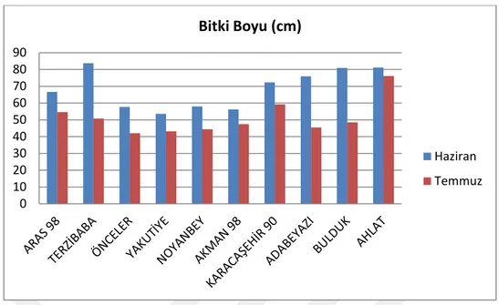 Şekil 5.  Bitki boyu değerlerine ait genotip × ekim zamanı interaksiyonu 