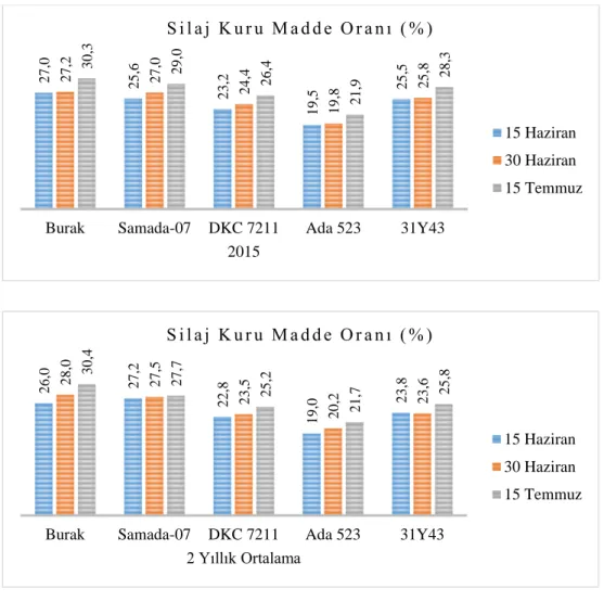 Şekil 4.8. Çeşit x Ekim Zamanı İnteraksiyonun Silaj Kuru Madde Oranları 