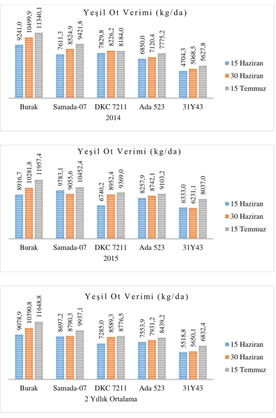 Şekil 4.6. Çeşit x Ekim Zamanı İnteraksiyonun Yeşil Ot Verimleri  