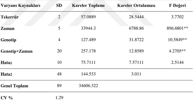 Çizelge  4.3  izlendiğinde,  başaklanma  gün  sayısı  bakımından  ekim  zamanları,  genotip ve genotip x zaman interaksiyonu p ≤ 0.01 seviyesinde önemli bulunmuştur  Çizelge 4.3