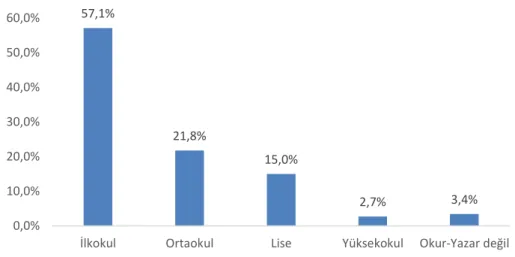 Şekil 4.3. İşletme sahiplerinin eğitim durumu (%)
