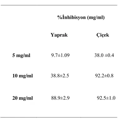 Çizelge 4.5 de ki sonuçlara göre C. syriaca’ nın yapraklarının metanolik özütü 5  mg/  ml konsantrasyonda %9.7, 10 mg/ml  de 38.8 ve 20 mg/ml  de % 88