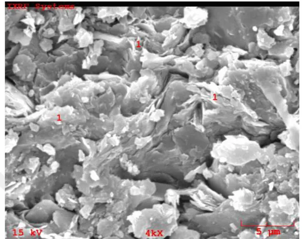 Şekil  4.8.  DMDA-2  nolu  örneğin  illit  minerallerinin  yoğun  olarak  gözlendiği  SEM  morfolojik iç yapı görüntüsü